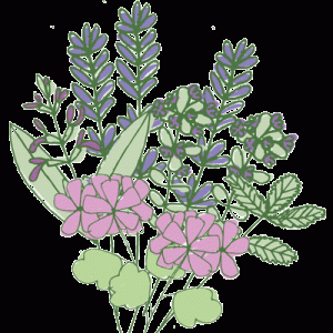 Vegan body care products by Laughing Bird Body Care
