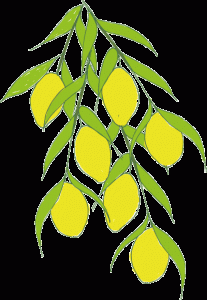Lemons