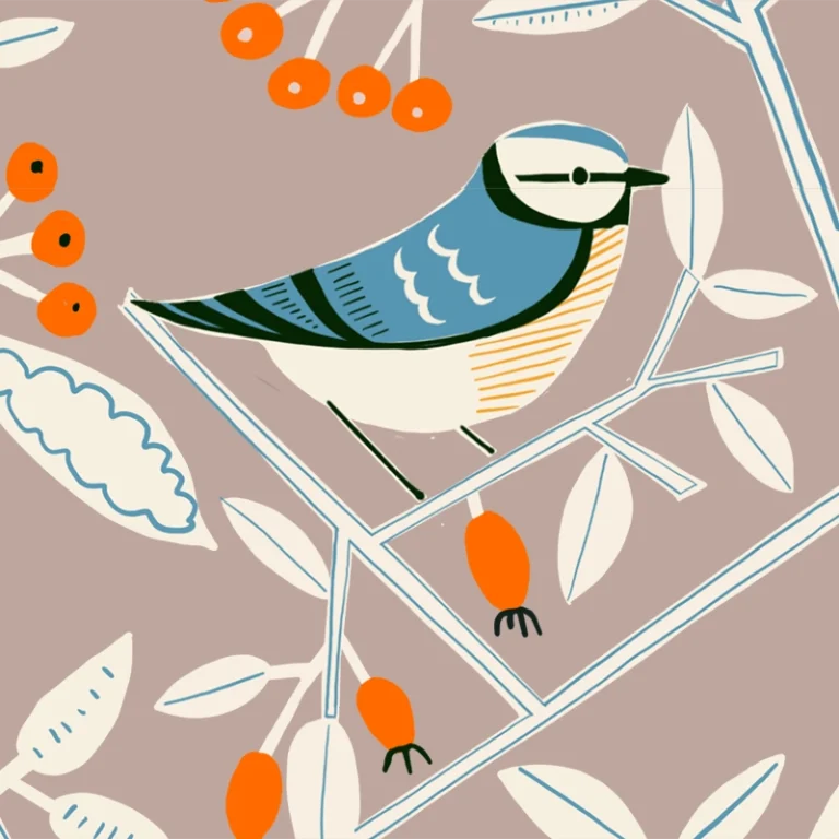 Blue tit illustration